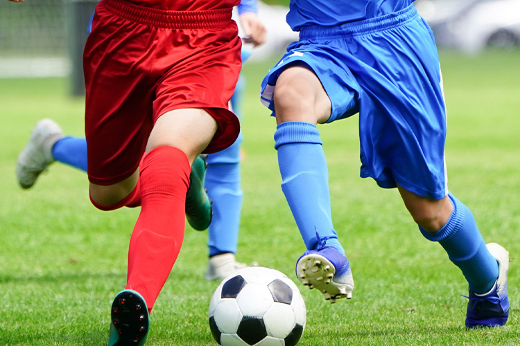 スポーツ
